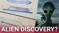 Bombshell UFO claims spark frenzy as researcher alleges four alien species discovered
